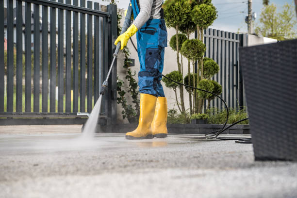 Best Residential House Exterior Washing  in Lake Sarasota, FL